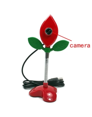 ΚΡΥΦΗ WEB CAMERA USB - ΛΟΥΛΟΥΔΙ ΣΕ ΓΛΑΣΤΡΑ